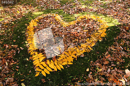 Image of Autumn love