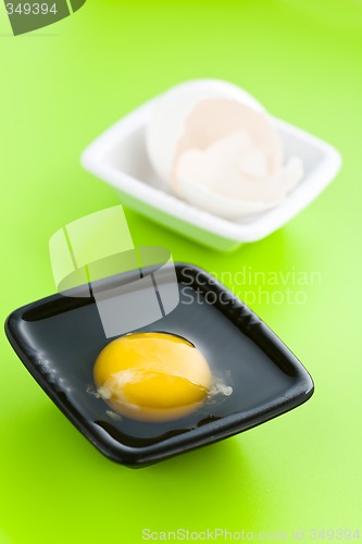 Image of Egg yolk