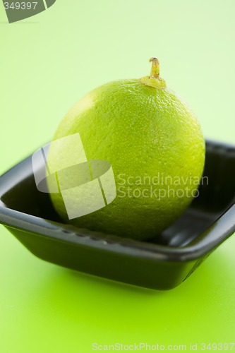 Image of Lime