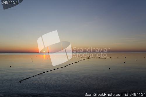 Image of Floating fishnet