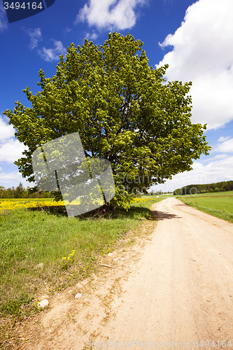 Image of the rural road  