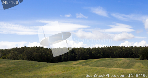 Image of agricultural field  