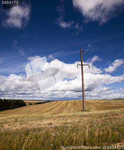 Image of column in the field 