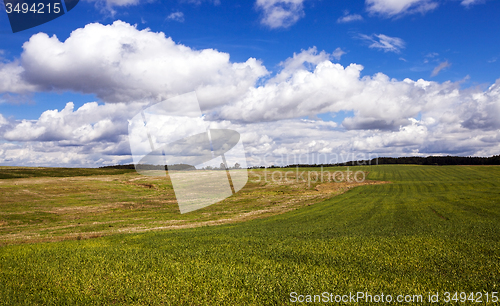 Image of agricultural field  