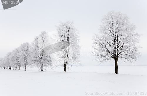 Image of winter season  