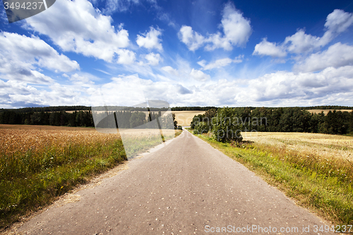 Image of the asphalted road  