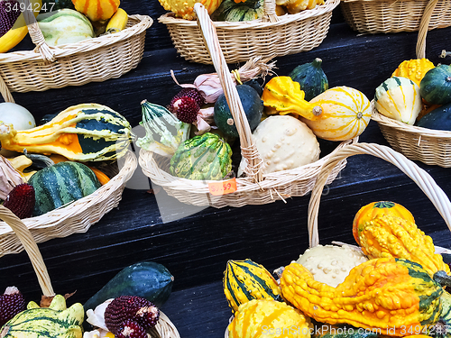 Image of Baskets with colorful gourds