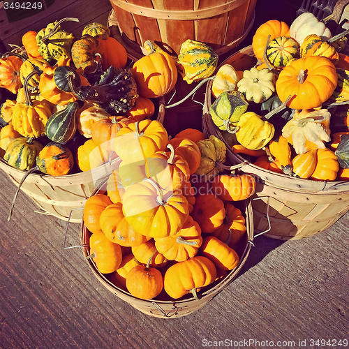 Image of Baskets with pumpkins and gourds at the market