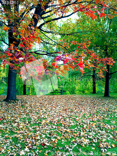 Image of Vibrant autumn landscape