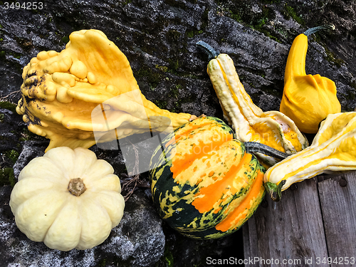 Image of Colorful autumn vegetables