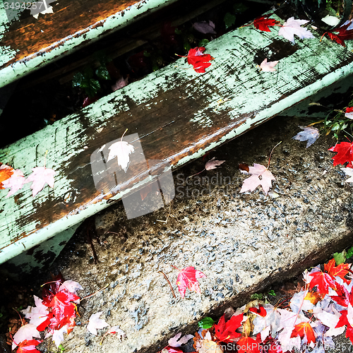 Image of Autumn leaves on old staircase