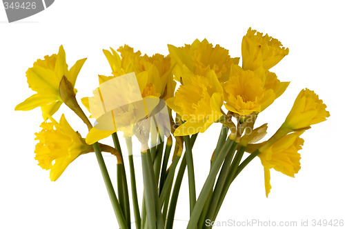 Image of daffodil bouquet