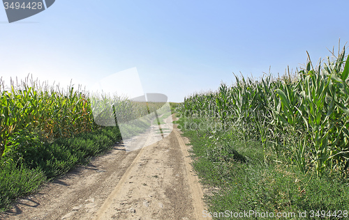 Image of Dirt Road