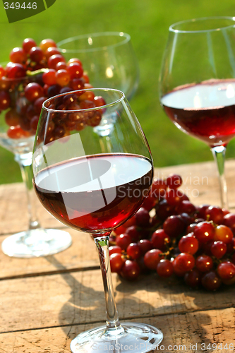 Image of Wine in the late afternoon