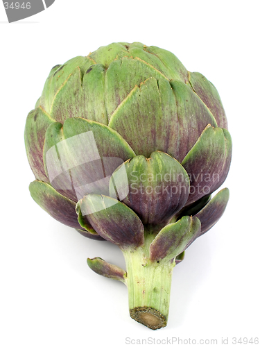 Image of Artichoke