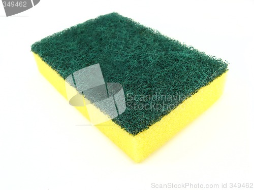 Image of sponge