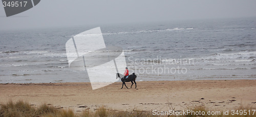 Image of Lonely rider on the beach