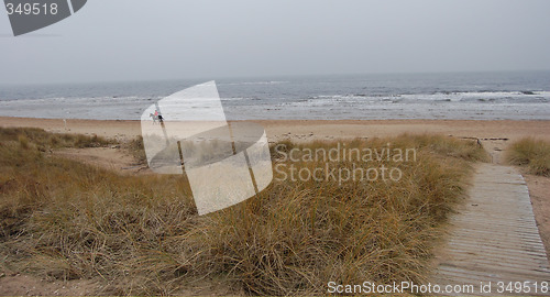 Image of Scandinavian beach in Wintertime