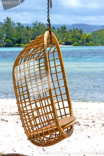 Image of lagoon  beach seaweed in mauritius 