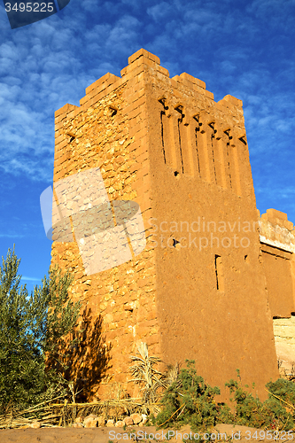 Image of africa  in histoycal maroc  old plant