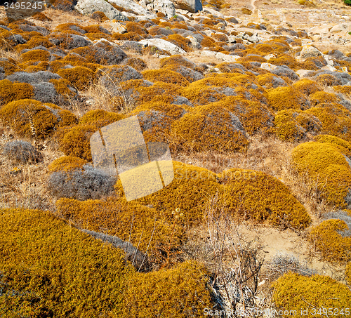 Image of sea in delos greece the historycal acropolis and old ruin site