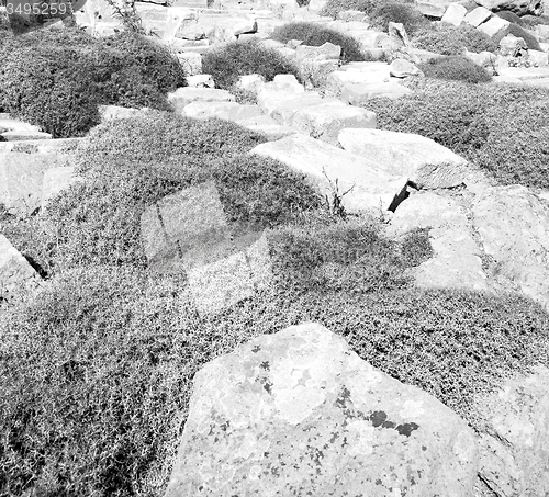 Image of sea in delos greece the historycal acropolis and old ruin site