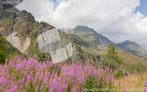 Image of Typical view of the Swiss alps