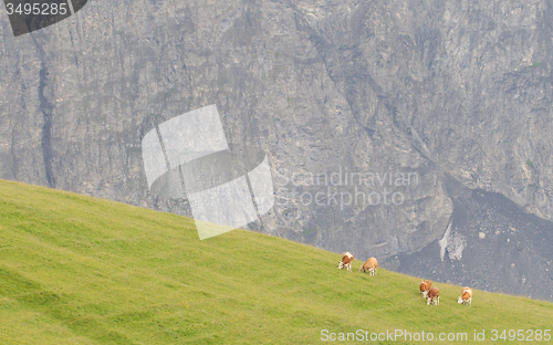 Image of Typical view of the Swiss alps