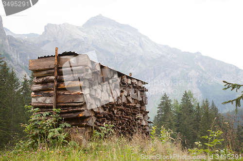 Image of Chopped wood waiting for the winter