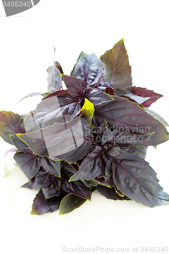 Image of Bunch of purple basil