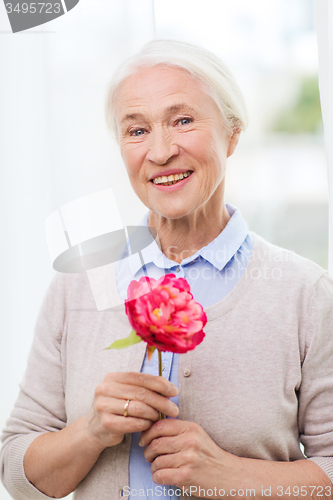 Image of happy smiling senior woman with flower at home
