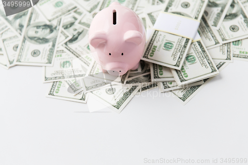 Image of close up of dollar money and piggy bank on table