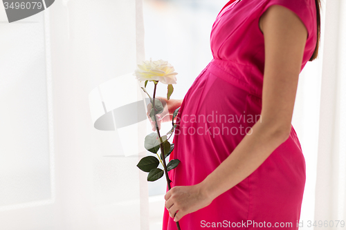 Image of happy pregnant woman with rose flower at home