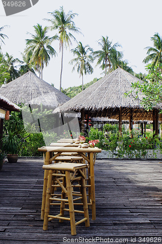 Image of Bar in the tropics