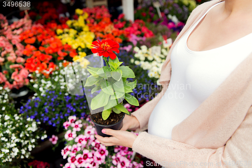 Image of pregnant woman choosing flowers at street market