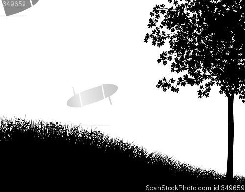 Image of Grass and tree