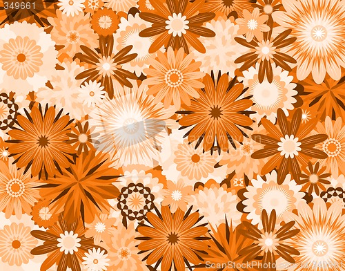 Image of Orange flowers