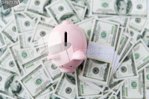 Image of close up of dollar money and piggy bank from top