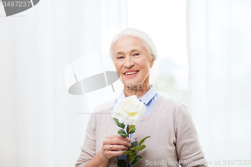 Image of happy senior woman with rose flower at home