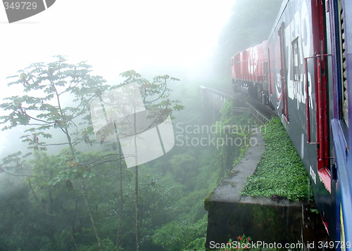 Image of Train in the tropical forest in South of Brazil