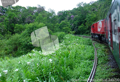 Image of Train in the tropical forest in South of Brazil