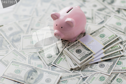 Image of close up of american dollar money and piggy bank