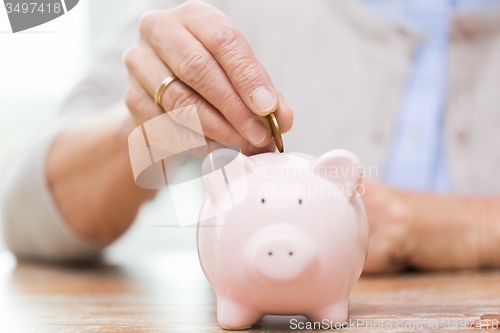 Image of senior woman hand putting money to piggy bank