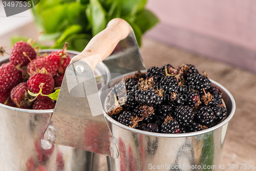 Image of Metal buckets with fresh berries