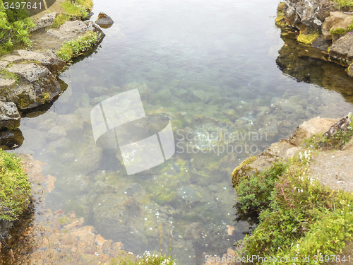 Image of riparian detail in Iceland