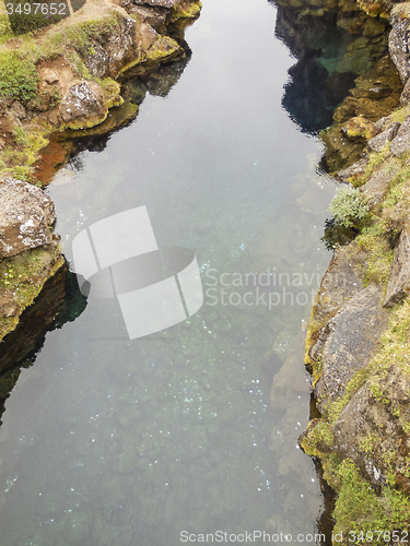 Image of stream detail in Iceland