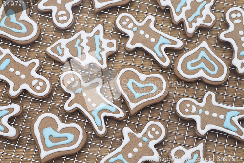 Image of Fresh gingerbread cookies