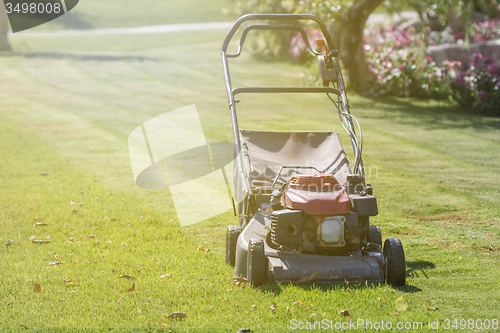 Image of Modern gasoline lawn mower