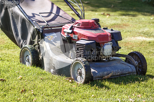 Image of Modern gasoline lawn mower