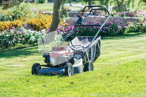 Image of Modern gasoline lawn mower